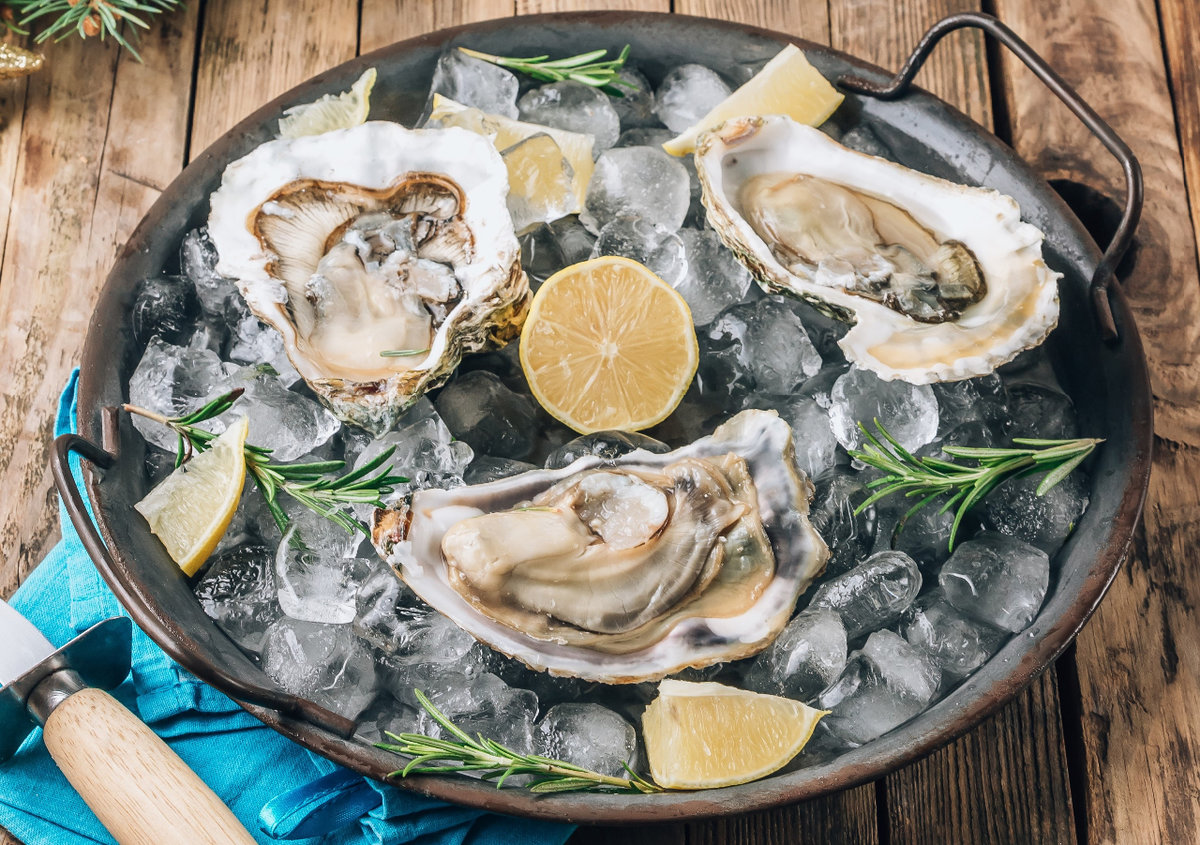Oysters on a bed of ice with lemons Oysters on a bed of ice with lemons